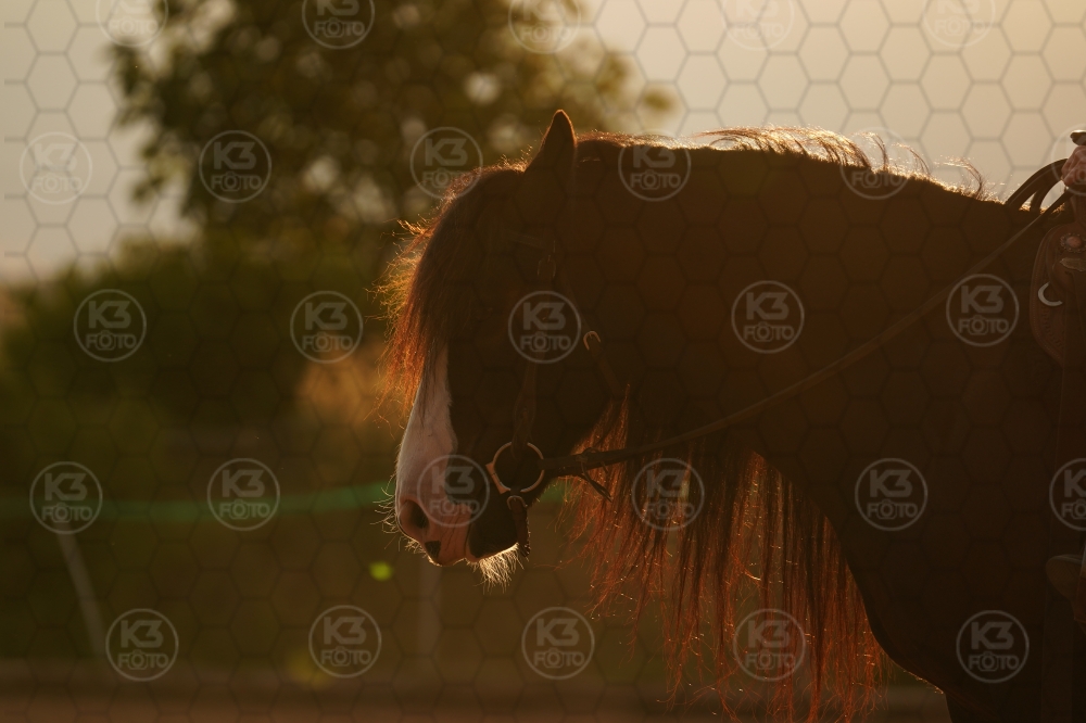 s_A9_03169.jpg